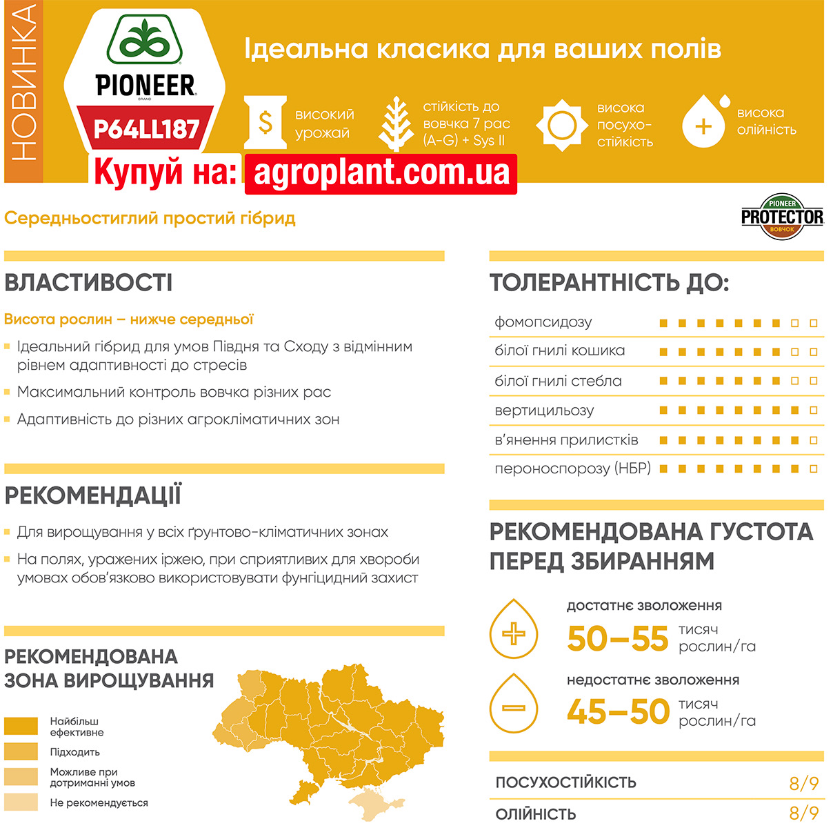 Піонер 187 соняшник характеристики